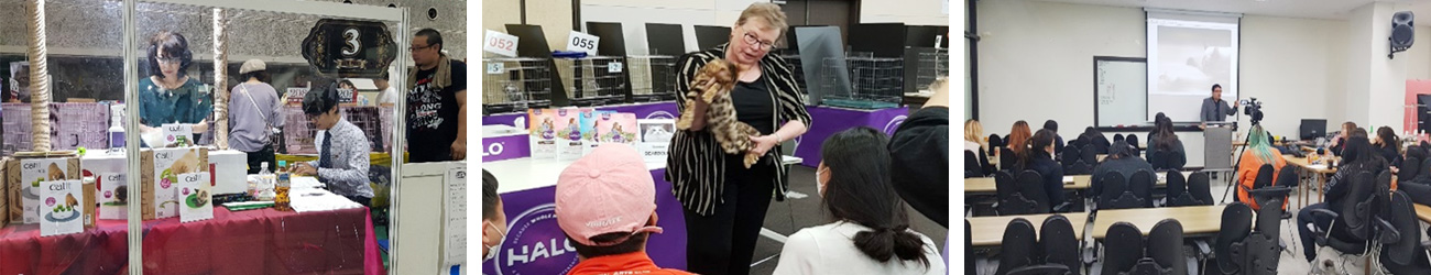 고양이 전문 분야 심화 교육 프로그램